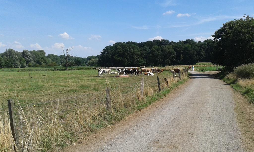 Ferienhaus Burgblick Brueggen Bruggen  Pokoj fotografie